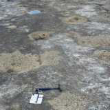 Pista di orme di dinosauri a Lama Balice